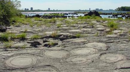 stromatolites_champlain_bridge