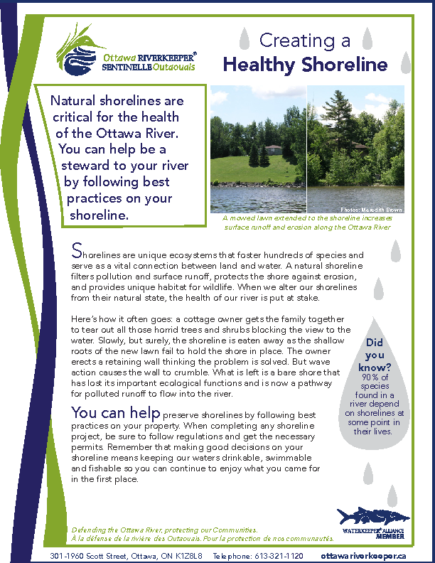 Creating a Healthy Shoreline