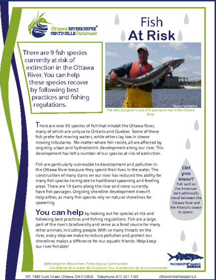 Fish at Risk