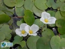 Photo: Ontario Federation of Anglers and Hunters