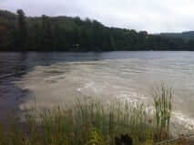 Gatineau River tributary, QC. Photo: Rita Jain