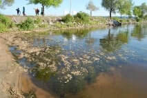 Norway Bay, QC. Photo: Meaghan Murphy