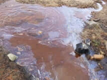 Hudson, QC. Photo: Sue McLennan