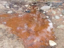 Ottawa River at Hudson, QC. Photo: Sue McLennan