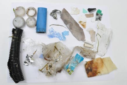 Macroplastics found in the Ottawa River