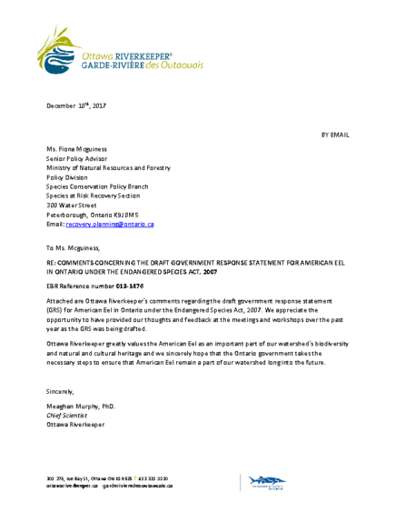 Comments Concerning the Draft Government Response Statement for American Eel in Ontario