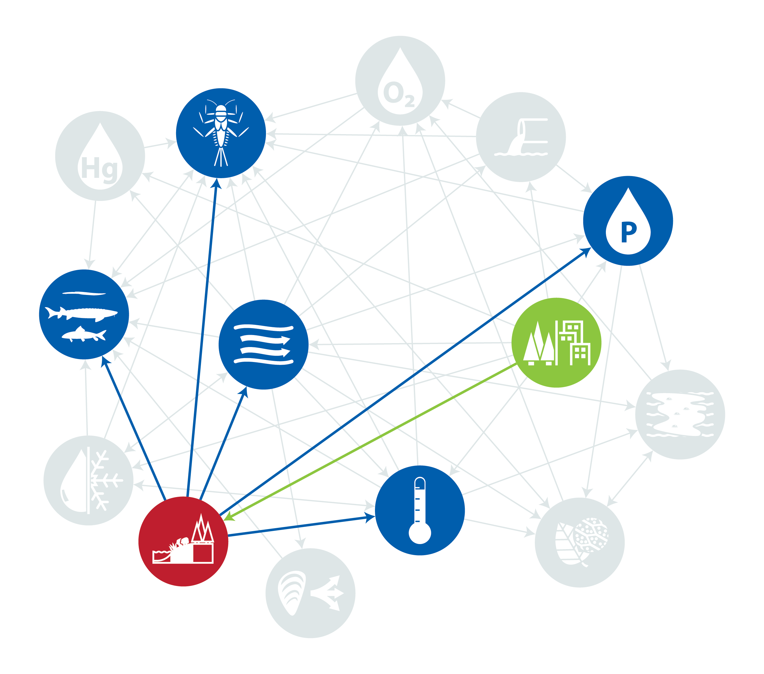 Riparian Connectivity