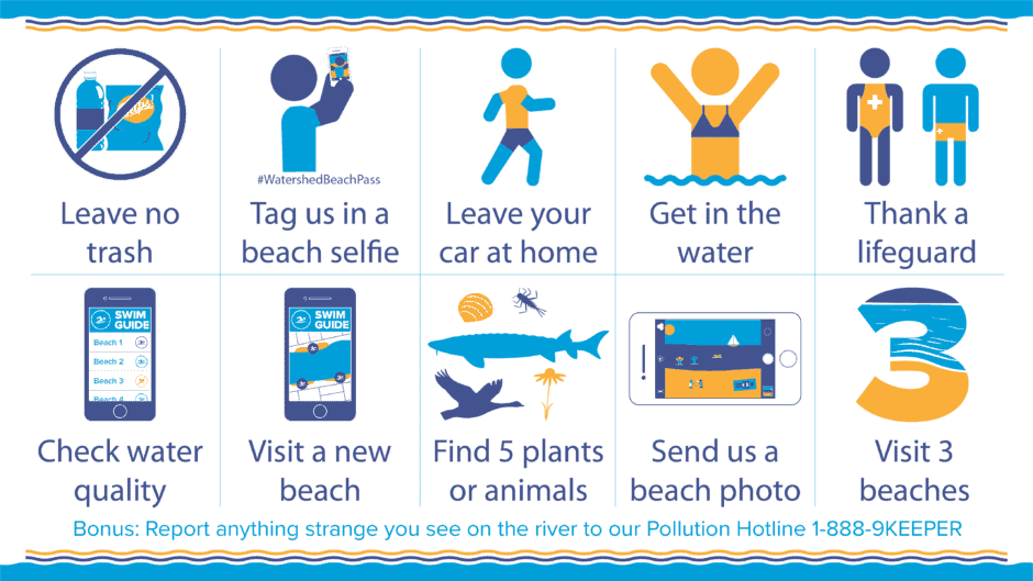 Watershed Beach Pass:
Leave no trash
Tag us in a beach selfie
Leave your car at home
Get in the water
Thank a lifeguard
Check water quality
Visit a new beach
Find 5 plants or animals
Send us a beach photo
Visit 3 beaches
Bonus: Report anything strange you see on the river to our Pollution Hotline 1-888-9KEEPER