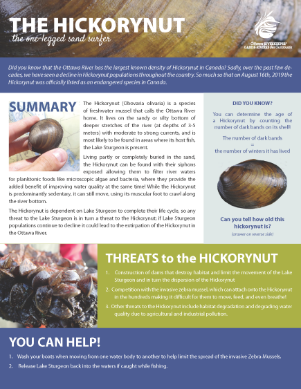 Hickorynut Fact Sheet