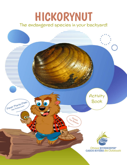 Hickorynut Activity Book
