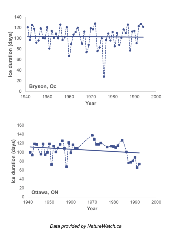 Two graphs showing trends in ice duration between 1940 and 2000. The first is for Bryson QC, and shows high variation but no change in trend. The second is for Ottawa ON, and shows a trend towards a shorter ice duration.