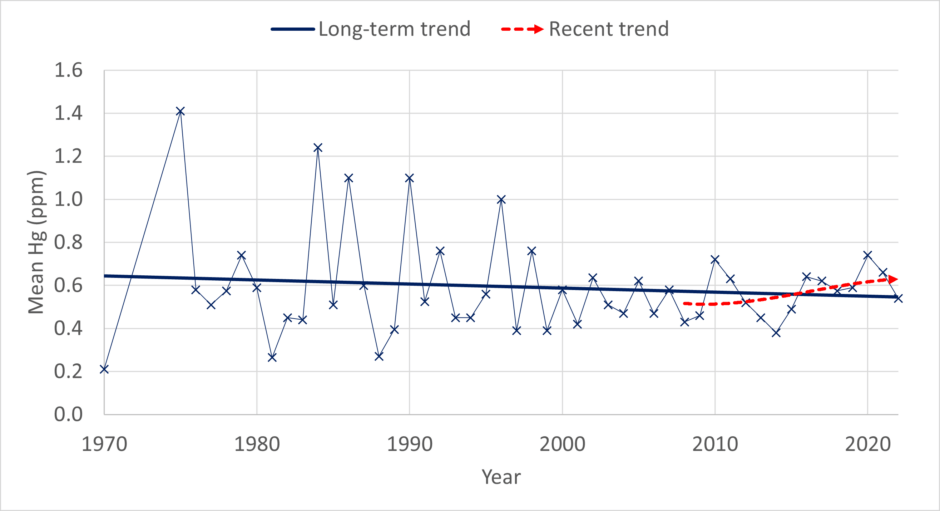 A graph showing mean Hg levels in Walleye from 1960 to 2020. A trend line shows levels slowly decreasing over time from very high peaks in the 1970s and 1980s. A shorter trendline starting in around 2009 shows an upward trend in recent years. 