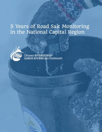 5 Year Road Salt Report_EN