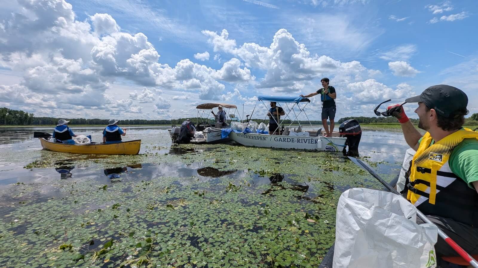 What does it take to remove invasive Water Chestnut?