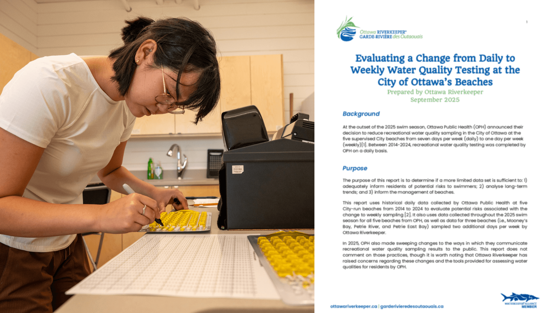 Ottawa Public Health Refuses to Restore Daily Testing at City-run Beaches